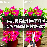 央行再贷款利率下调0.25% 释放结构性宽松信号(图1) 央行再贷款利率下调0.25% 释放结构性宽松信号(图1)