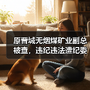 原晋城无烟煤矿业副总被查，违纪违法遭纪委调查（图2）