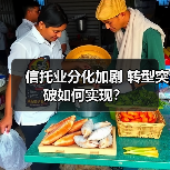 信托业分化加剧 转型突破如何实现?(图4) 信托业分化加剧 转型突破如何实现?(图4)