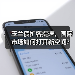 玉兰债扩容提速,国际市场如何打开新空间?(图1) 玉兰债扩容提速,国际市场如何打开新空间?(图1)