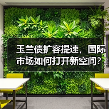 玉兰债扩容提速,国际市场如何打开新空间?(图2) 玉兰债扩容提速,国际市场如何打开新空间?(图2)