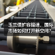 玉兰债扩容提速,国际市场如何打开新空间?(图3) 玉兰债扩容提速,国际市场如何打开新空间?(图3)
