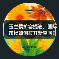 玉兰债扩容提速,国际市场如何打开新空间?(图4) 玉兰债扩容提速,国际市场如何打开新空间?(图4)