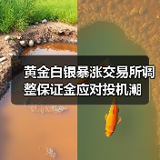 黄金白银暴涨交易所调整保证金应对投机潮（图2）