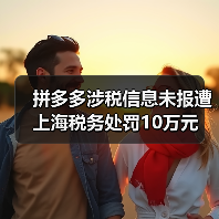 拼多多涉税信息未报遭上海税务处罚10万元(图3) 拼多多涉税信息未报遭上海税务处罚10万元(图3)