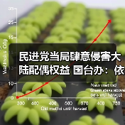 民进党当局肆意侵害大陆配偶权益 国台办:依法追责严惩不贷(图1) 民进党当局肆意侵害大陆配偶权益 国台办:依法追责严惩不贷(图1)