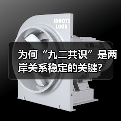 为何“九二共识”是两岸关系稳定的关键?(图1) 为何“九二共识”是两岸关系稳定的关键?(图1)