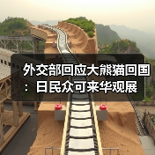 外交部回应大熊猫回国:日民众可来华观展(图3) 外交部回应大熊猫回国:日民众可来华观展(图3)