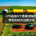 LPR连续8个月保持稳定,背后的经济动因分析(图4) LPR连续8个月保持稳定,背后的经济动因分析(图4)