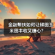 金融帮扶如何让梯田玉米田丰收又暖心？（图2）