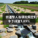 普通型人身保险预定利率下调至1.89%(图2) 普通型人身保险预定利率下调至1.89%(图2)