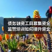 债务融资工具募集资金监管培训如何提升资金使用合规性?(图2) 债务融资工具募集资金监管培训如何提升资金使用合规性?(图2)
