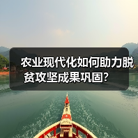 农业现代化如何助力脱贫攻坚成果巩固?(图4) 农业现代化如何助力脱贫攻坚成果巩固?(图4)