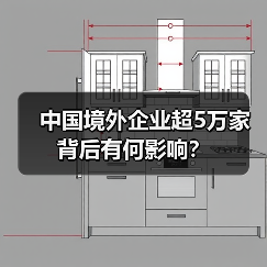 中国境外企业超5万家背后有何影响?(图3) 中国境外企业超5万家背后有何影响?(图3)