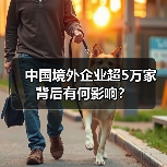中国境外企业超5万家背后有何影响?(图4) 中国境外企业超5万家背后有何影响?(图4)