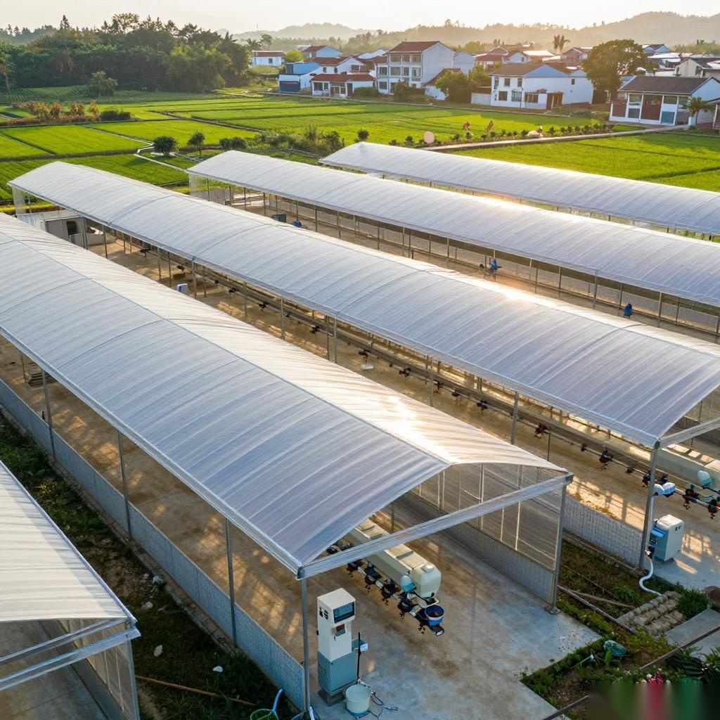 政银携手：农村“沉睡资产”变“真金白银”