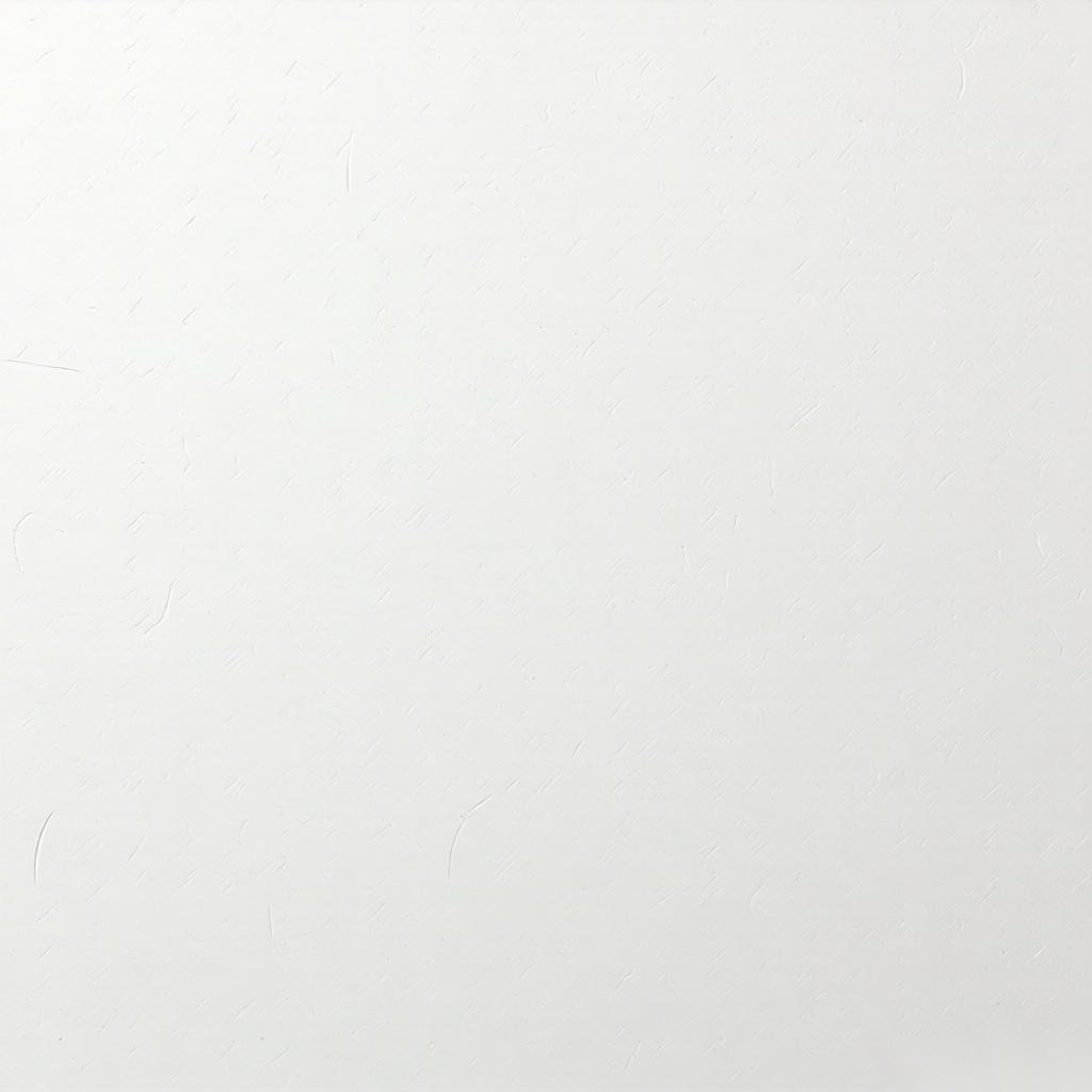 美国经济繁荣表象下的民生困境